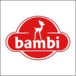 Unternehmensberatung bei Bambi Serbien